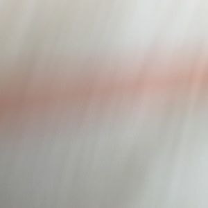 Meet your Posher, Dominique